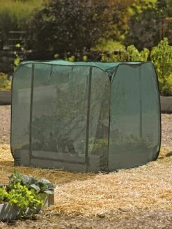 Pest Control Pop-Ups -Default Template 3 8587859 026 tif