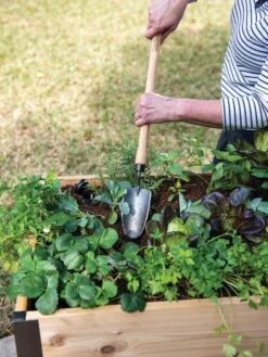 Gardener's Lifetime Raised Bed Trowel 5 Gardener's Lifetime Raised Bed Trowel -Default Template 3 8588014 4084 tif