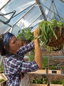 Canopia® By Palram Balance Greenhouse, 8' X 12' -Default Template 3 8588023 07V jpg