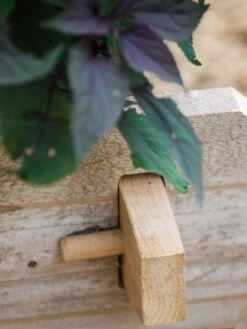 Farmstead Cedar Raised Garden Beds, 2' -Default Template 3 8588144 12V tif