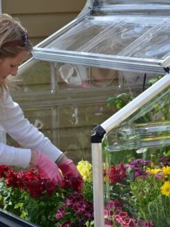 Canopia® By Palram Plant Inn™ Raised Bed Greenhouse, 4' X 4' 25 Canopia® By Palram Plant Inn™ Raised Bed Greenhouse, 4' X 4' -Default Template 3 8588308 04V tif