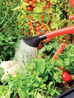 Canopia® By Palram Plant Inn™ Raised Bed Greenhouse, 4' X 4' 22 Canopia® By Palram Plant Inn™ Raised Bed Greenhouse, 4' X 4' -Default Template 3 8588308 06V tif