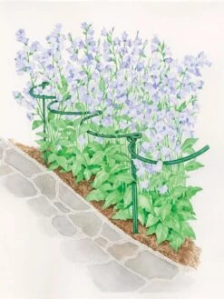 Tidy Path Supports -Default Template 3 8588403 003 1