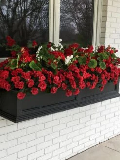 Fairfield Self-Watering Window Box, 5’ 16 Fairfield Self-Watering Window Box, 5’ -Default Template 3 8588938 100V tif
