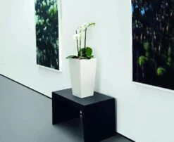 Lechuza® Cubico Color Tall Self-Watering Planters 8 Lechuza® Cubico Color Tall Self-Watering Planters -Default Template 3 8589485 03V tif