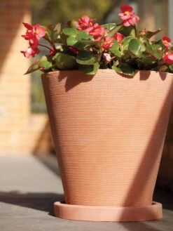 Universal Round Planter Saucers -Default Template 3 8589526 001V tif