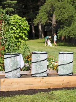 Pop-Up Tomato Accelerator -Default Template 3 8589749 2212 tif