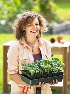 Growease Seed Starter Kit -Default Template 3 8589987 0446 tif