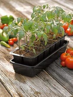 Growease Seed Starter Kit -Default Template 3 8589988 1056 tif