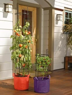 Gardener's Best® Tomato Grow Bag Set 7 Gardener's Best® Tomato Grow Bag Set -Default Template 3 8590013 170 tif