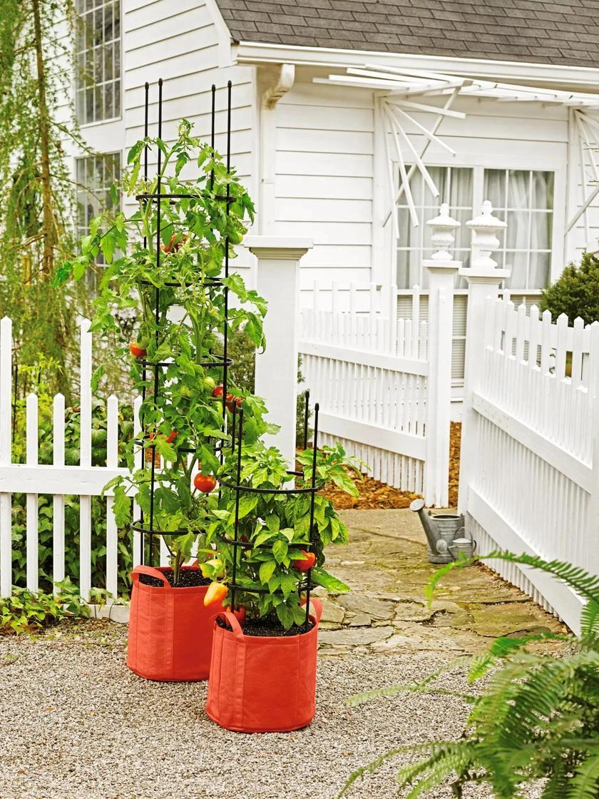 Gardener's Best® Tomato Grow Bag Set 3 Gardener's Best® Tomato Grow Bag Set - Image 3