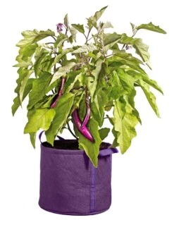 Gardener's Best® Universal Grow Bag -Default Template 3 8590024PR 214 tif