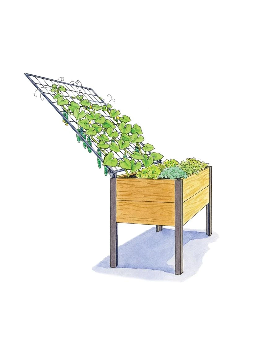 Elevated Planter Box And Space-Maker Pivoting Trellis Set, 2' X 4' 3 Elevated Planter Box And Space-Maker Pivoting Trellis Set, 2' X 4' - Image 3