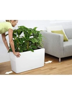 Lechuza® Cararo Rectangular Indoor Planter With Casters -Default Template 3 8590295 03v