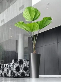 Lechuza® Delta Premium Self-Watering Planters -Default Template 3 8590299 02V tif