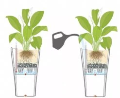 Lechuza® Delta Premium Self-Watering Planters -Default Template 3 8590299 07V tif