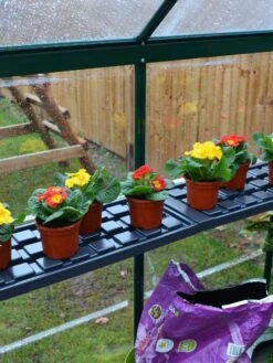 Canopia® By Palram Shelf Kit For Greenhouses, Set Of 2 Shelves -Default Template 3 8591033 09V jpg