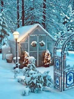 Canopia® By Palram Harmony™ Snap & Grow Greenhouse, 8' -Default Template 3 8591048 06V jpg