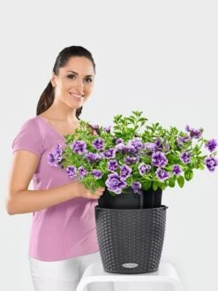 Lechuza® Nido Cottage Wicker Hanging Planter 6 Lechuza® Nido Cottage Wicker Hanging Planter -Default Template 3 8591154GT 006V tif