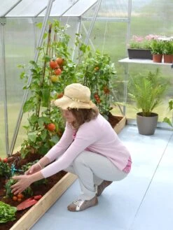 Canopia® By Palram Essence™ Greenhouse, 8' X 12' -Default Template 3 8591356 04V tif