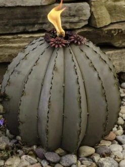 Desert Steel Golden Barrel Cactus Torches -Default Template 3 8591454 01V tif