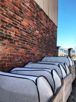 Row Shelter Accelerator -Default Template 3 8591990 01IN tif