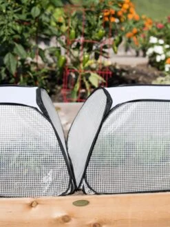 Row Shelter Accelerator -Default Template 3 8591990 2199 tif