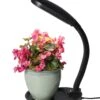Agrobrite Desktop Plant Light