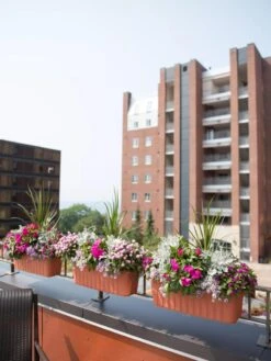 Adjustable Self-Watering Railing Planter, 24" 10 Adjustable Self-Watering Railing Planter, 24" -Default Template 3 8592173TC 2383 tif