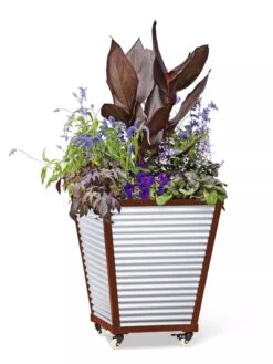 Galvanized Self-Watering Planters -Default Template 3 8592177 5066 tif