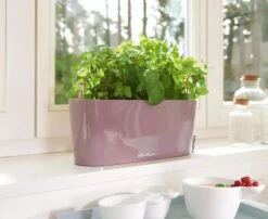 Lechuza® Delta Self-Watering Windowsill Planters -Default Template 3 8592361 01V tif