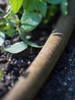 Premium 1/2" Soaker Hose 11 Premium 1/2" Soaker Hose -Default Template 3 8592730 4933 tif