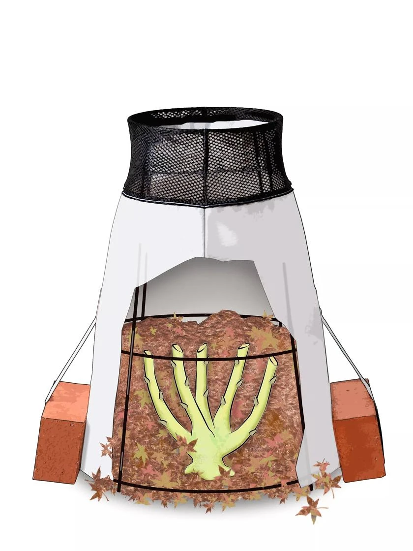 Rosy Cozy® Rose Cone, Large 1 Rosy Cozy® Rose Cone, Large