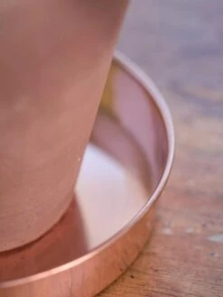 Extra Small Round Copper Plant Tray, 8" 9 Extra Small Round Copper Plant Tray, 8" -Default Template 3 8593528 4529 tif