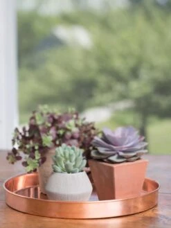 Large Round Copper Plant Tray, 14" -Default Template 3 8593531 4518 tif