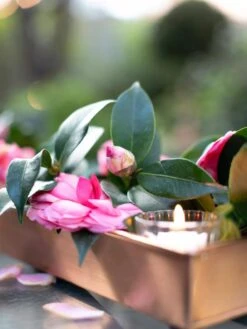 Rectangular Copper Plant Tray, 18"x4" 7 Rectangular Copper Plant Tray, 18"x4" -Default Template 3 8593532 02IN tif