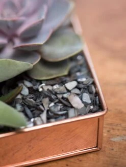 Rectangular Copper Plant Tray, 24" X 5" -Default Template 3 8593533 4570 tif