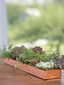 Rectangular Copper Plant Tray, 24" X 5" -Default Template 3 8593533 4626 tif