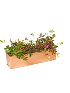 Tall Rectangular Copper Plant Tray, 18" X 5" X 4" 8 Tall Rectangular Copper Plant Tray, 18" X 5" X 4" -Default Template 3 8593534 2899 tif