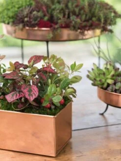 Front Page -Default Template 3 8593564 4430 tif