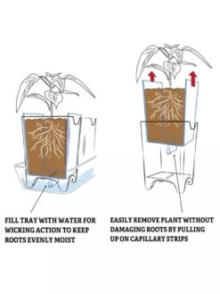 Pop-Out Pots, Set Of 4 -Default Template 3 8593943 2