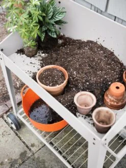 Demeter Potting Bench -Default Template 3 8594007 0650 tif