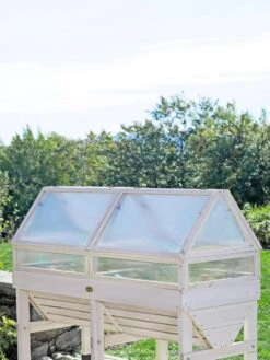 Cold Frame For VegTrug® -Default Template 3 8594064 1244 tif