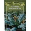 Lacinato Dino Kale Organic Seeds