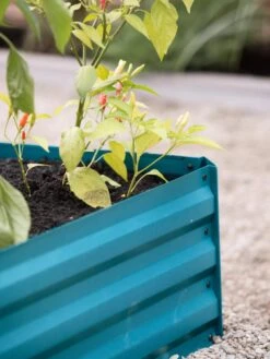 Demeter Corrugated Metal Raised Bed, 34" X 34" -Default Template 3 8594183 470 tif