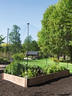 Protection Stakes For Netting, Set Of 4 8 Protection Stakes For Netting, Set Of 4 -Default Template 3 8594434 0015 tif