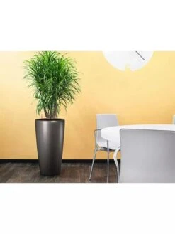 Lechuza® Rondo Self-Watering Planters 6 Lechuza® Rondo Self-Watering Planters -Default Template 3 8594586 02V tif