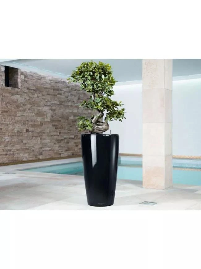 Lechuza® Rondo Self-Watering Planters 2 Lechuza® Rondo Self-Watering Planters - Image 2