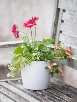 Viva Round Self-Watering Planter, 7" Diameter -Default Template 3 8595222 1139 tif