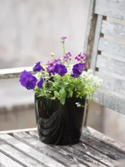 Viva Round Self-Watering Planter, 7" Diameter -Default Template 3 8595222 1140 tif